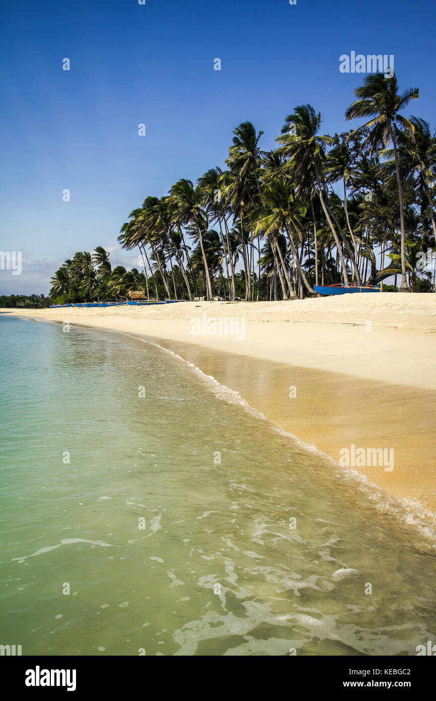 White Sand Beach in den Philippinen. saud Strand mit Palmen gesäumten idyllischen tropischen Getaway paradise mit transparenten Meer und sauberen unbebauten Strand Stockfoto