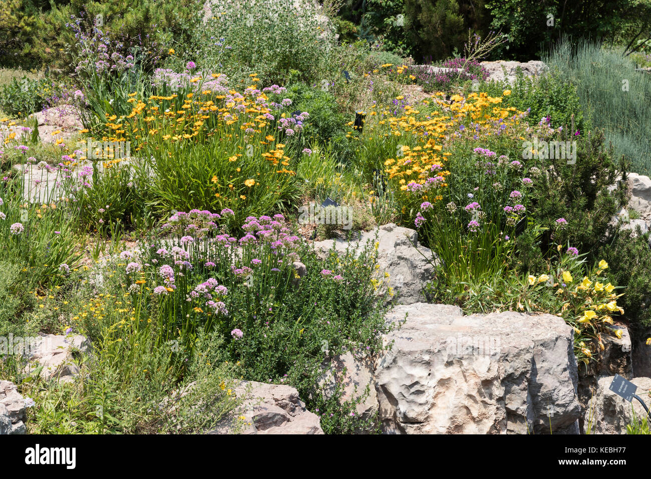 Rock Garden, Denver Botanic Gardens, Denver, Colorado, USA Stockfoto