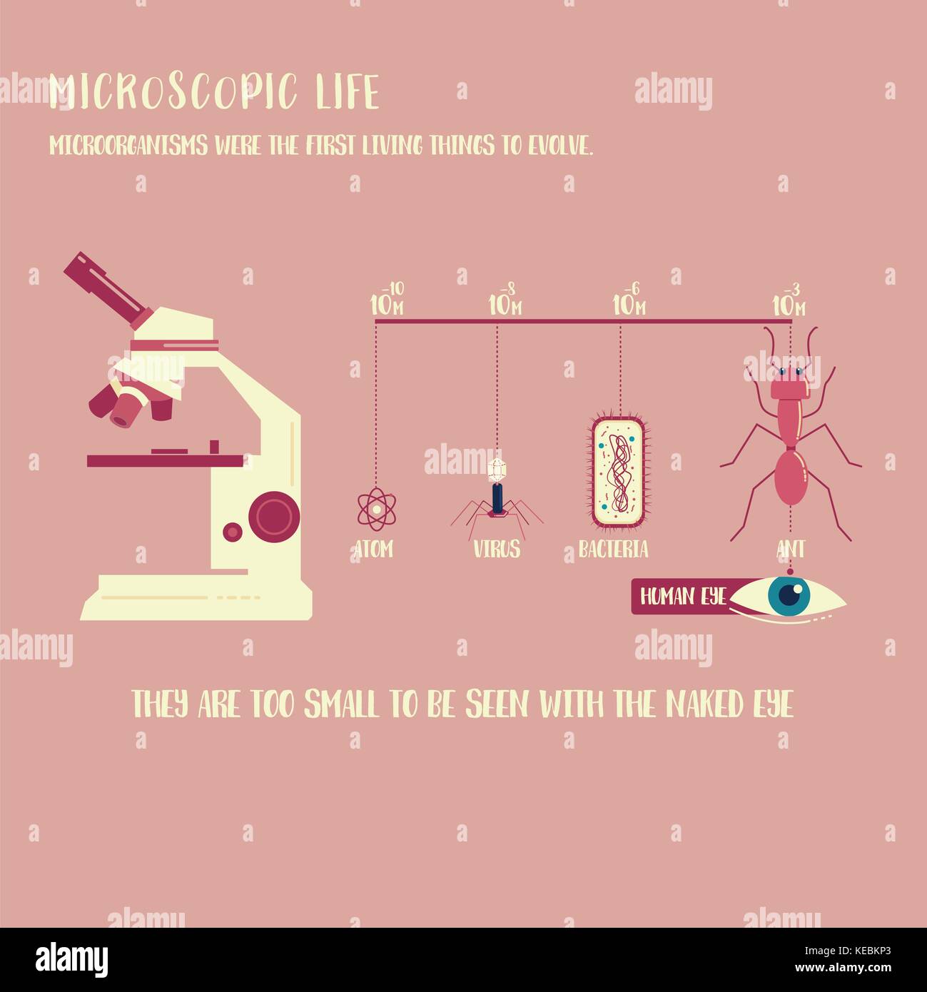 Mikroorganismen leben Infografik illustration Vektor Stock Vektor