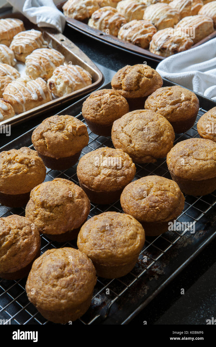 Frisch gebackene Scones und Muffins Kürbis Stockfoto