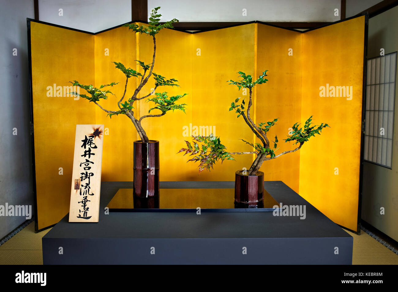 Japan, Insel Honshu, Kyoto, Ikebana, Blumenkunst. Stockfoto