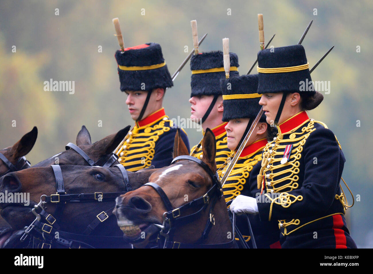 Die Königin nahm an einer Royal Review der königlichen Truppe Royal Horse Artillery zu ihrem 70-jährigen Jubiläum im Hyde Park in London Teil Stockfoto