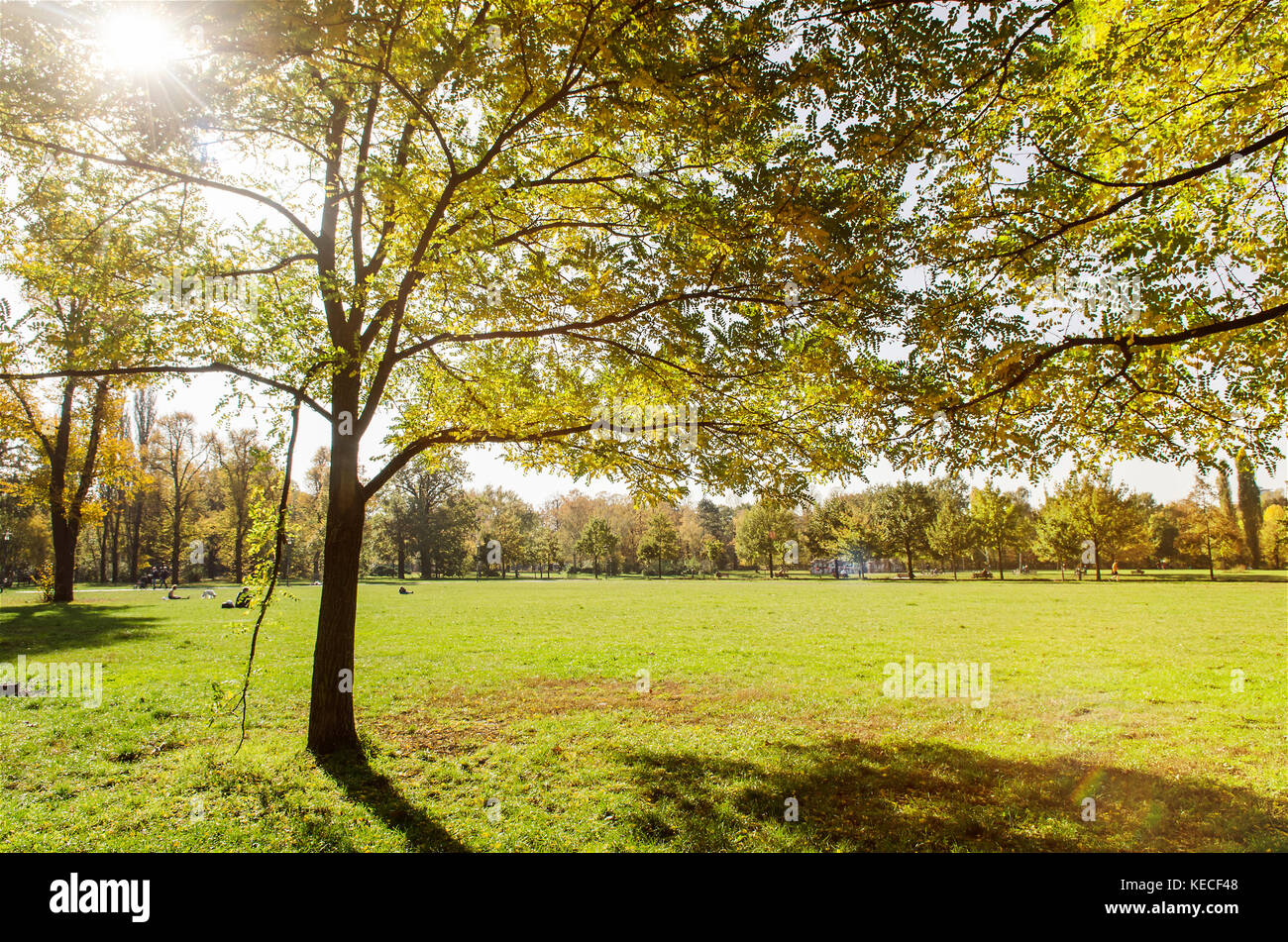 Goldener Herbst in einem Park mit Linse Flares Stockfoto