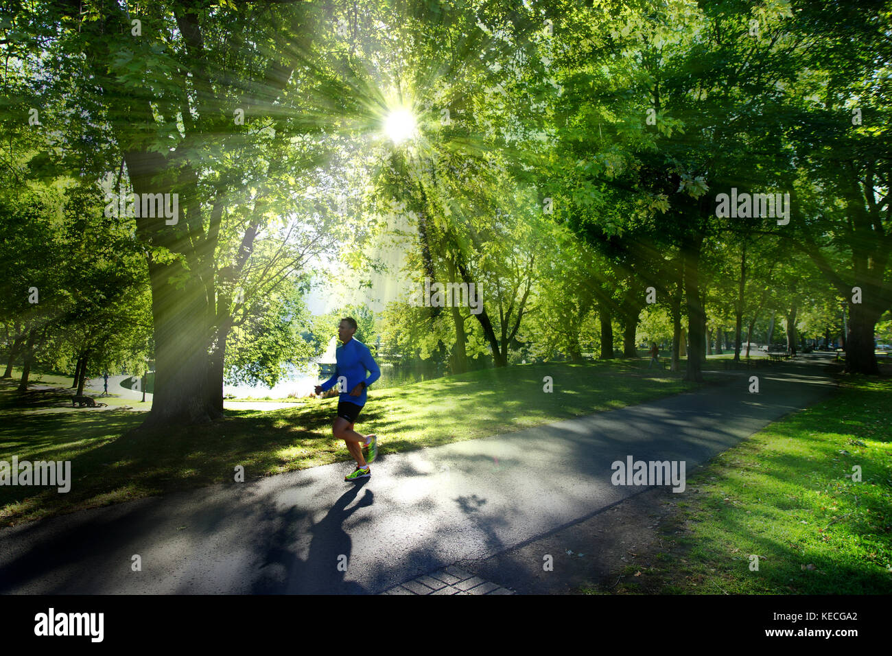 Montreal, Kanada, 1. Oktober 2017. Jogger am frühen Morgen im La Fontaine Park. Quelle: Mario Beauregard/Alamy Live News Stockfoto