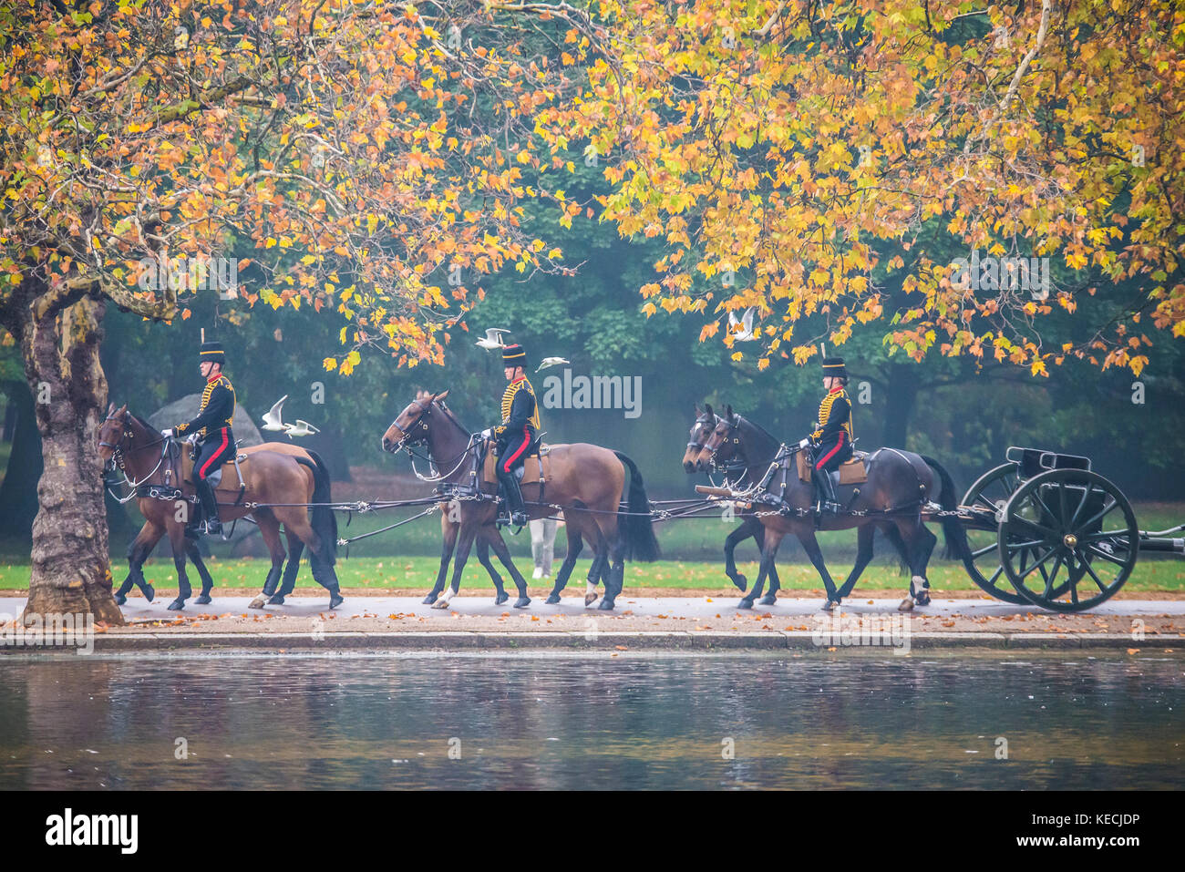 King's Truppe Royal Horse Artillery im Hyde Park by the Serpentine im Herbst Stockfoto