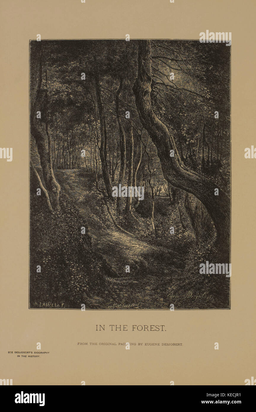 Im Wald, photogravüre Drucken aus dem Original von Eugene desjobert, die Meisterwerke der französischen Kunst von Louis Viardot, von Tiefdruck goupil et Cie, Paris, 1882, gebbie & Co., Philadelphia, 1883 veröffentlicht. Stockfoto