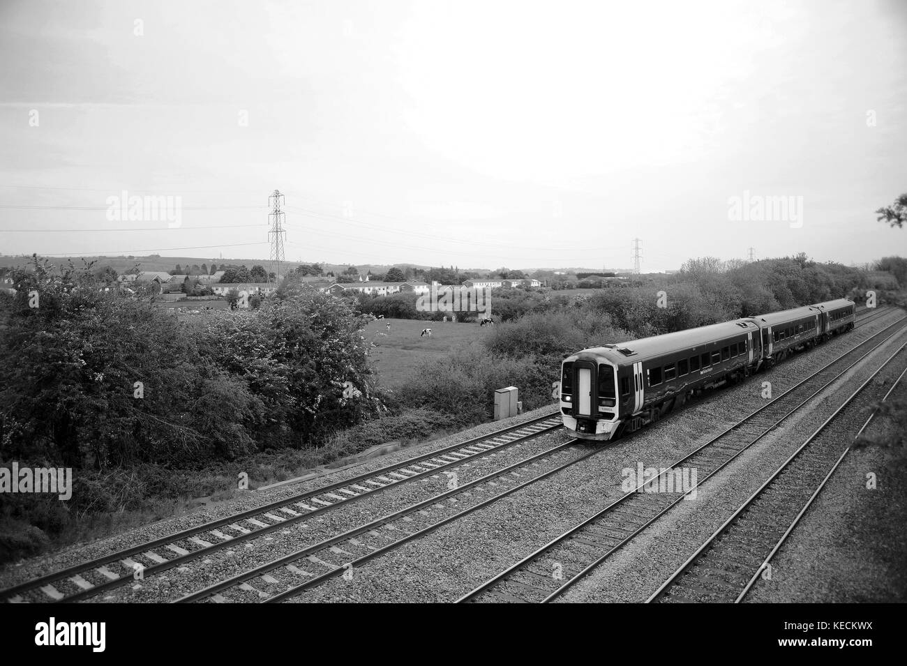 158955 Köpfe West in Marshfield. Stockfoto