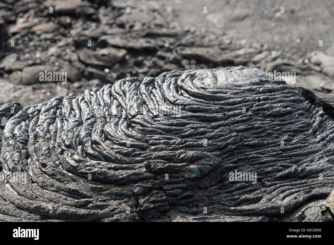 Pahoehoe oder Seillava, auf Rabida Island, Galapagos. Es besteht aus unbekanntem Gestein, der bizarre Muster erzeugt, wie es als Lavaskulptur bekannt kühlt. Stockfoto