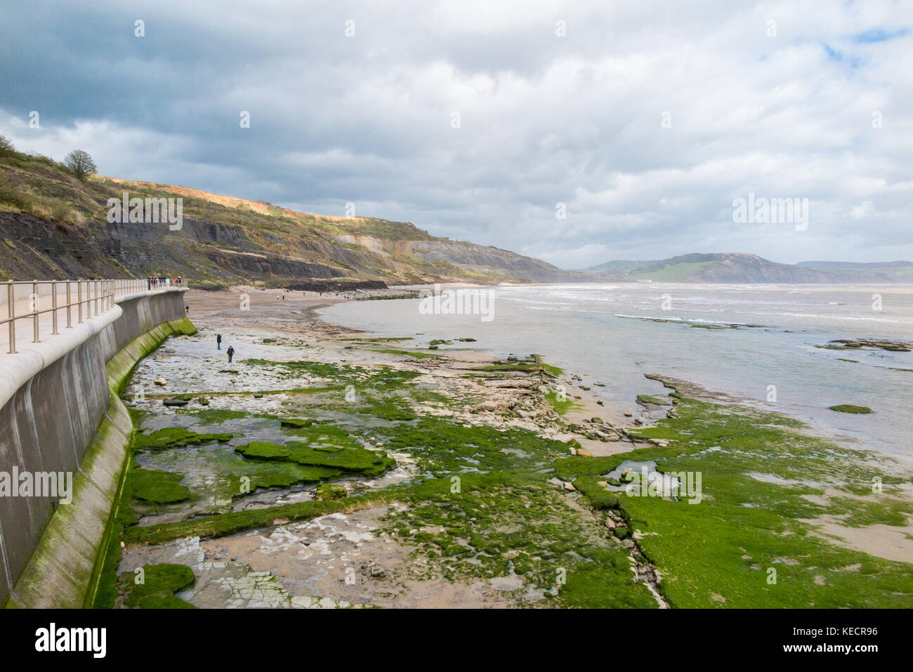 Ein Blick auf das Jurameer vorne in Lyme Regis, Dorset. Stockfoto