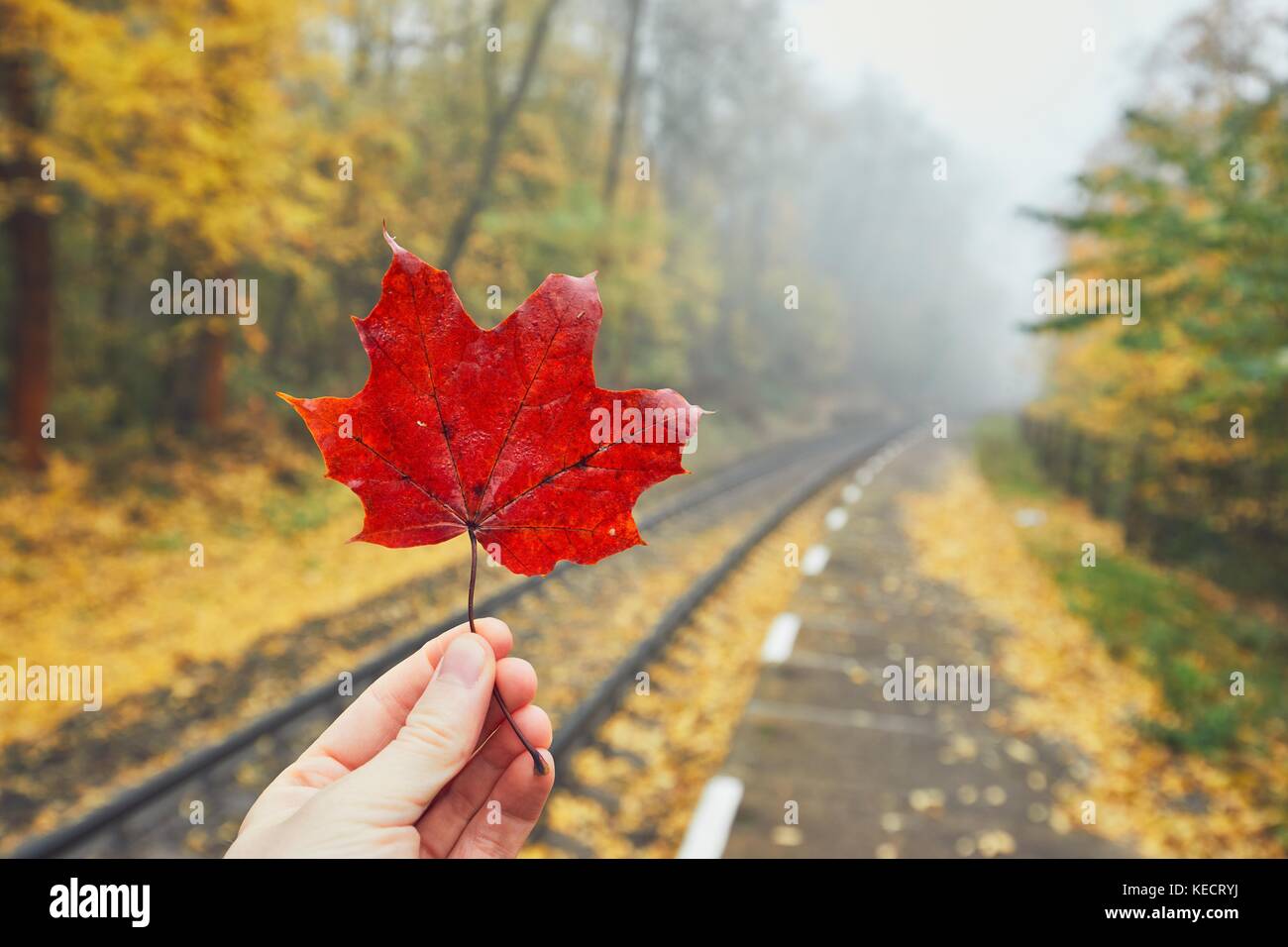 Herbstliche Stimmung auf dem Ausflug. Hand Red maple leaf. persönliche Perspektive auf die ländlichen Bahnhof im Nebel. Stockfoto