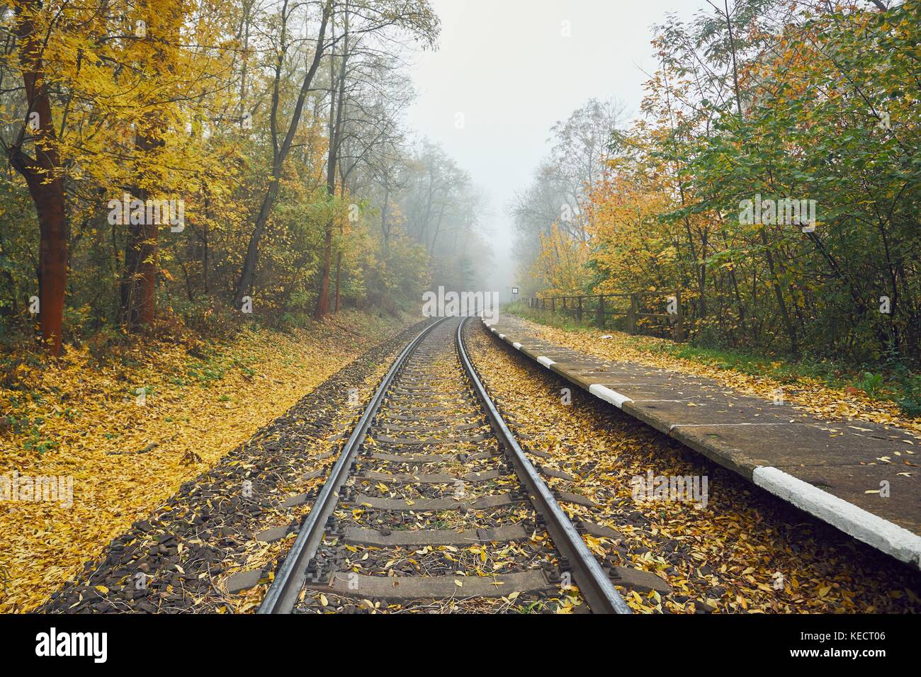 Herbstliche Stimmung auf dem Ausflug. ländlichen Bahnhof im Nebel. Stockfoto