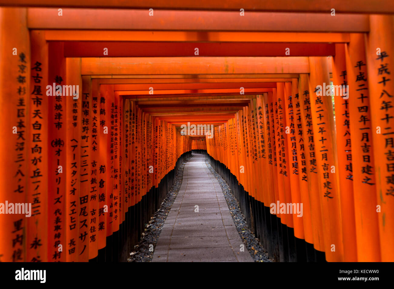 Kyoto, Japan - 9. Mai 2017: torii Gates in fushimi Inari Taisha Shrine. fushimi Inari taisha ist ein Shinto Schrein im südlichen Kyoto, Japan. Stockfoto
