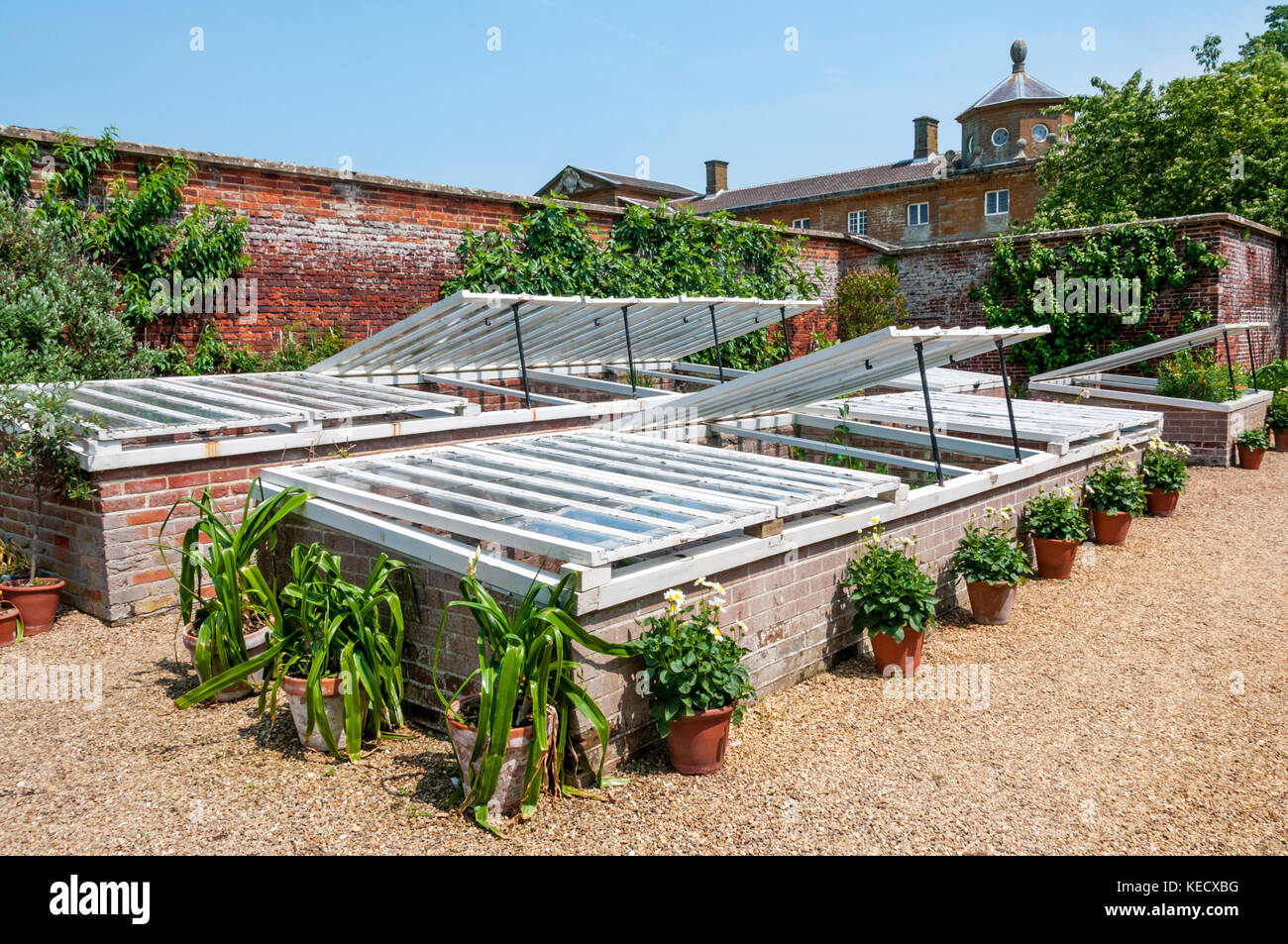 Kalte Frames für wachsende und Schutz junger Pflanzen. In den Gärten von Houghton Hall in Norfolk. Stockfoto