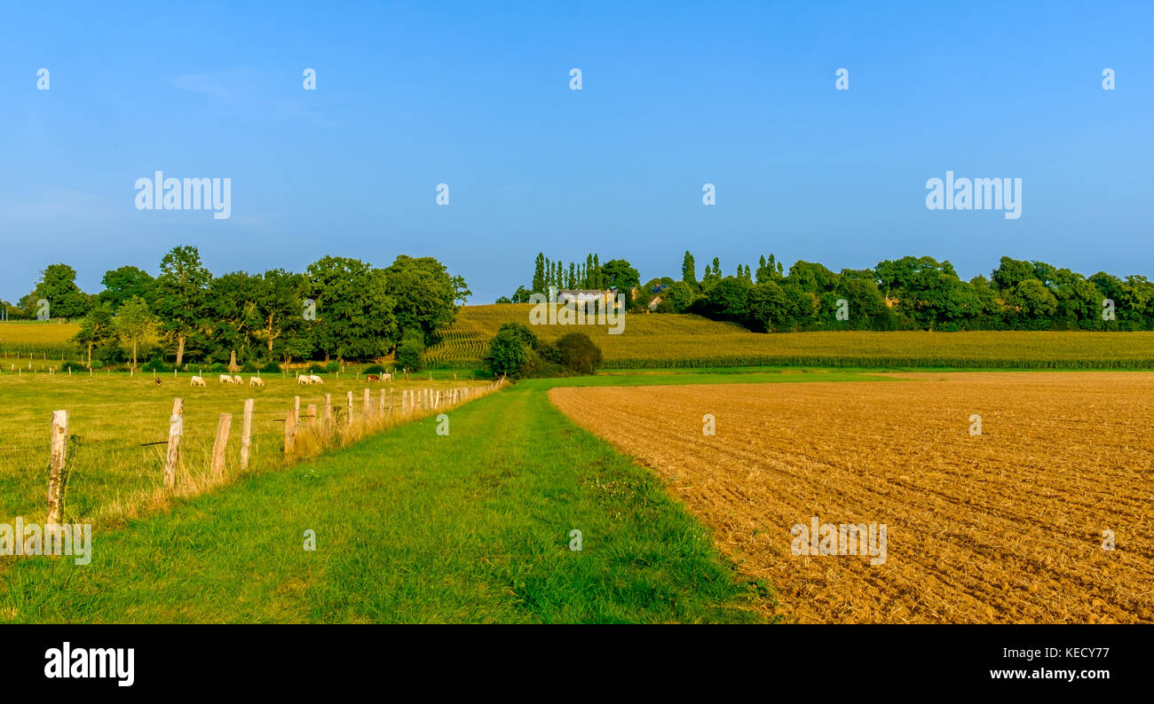 Gepflügte Feld in der Mayenne Landschaft im Sommer, Frankreich Stockfoto