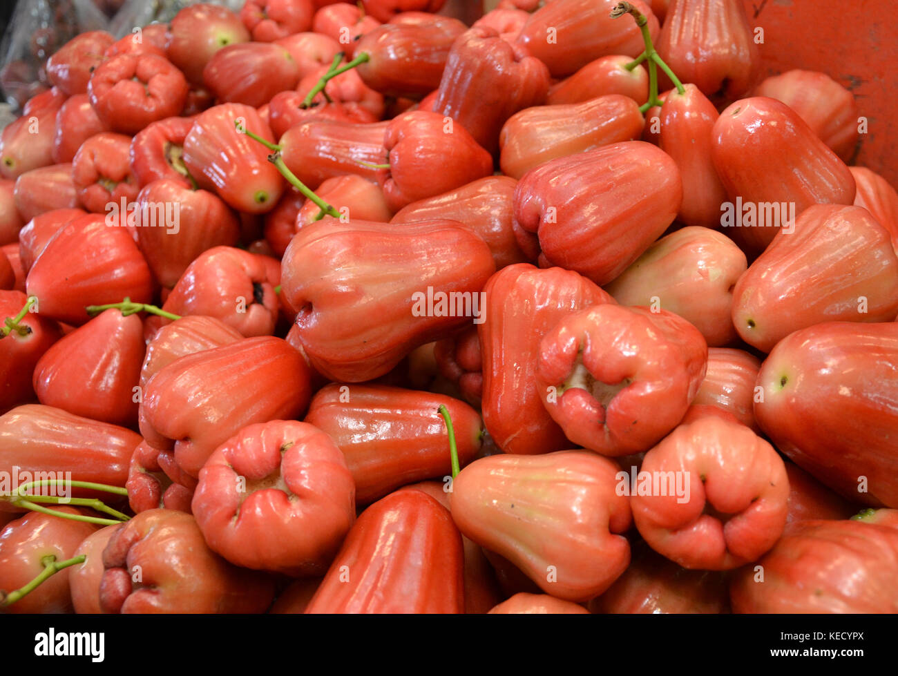 Fotografie von Wachs Apple auf dem Markt Stockfoto