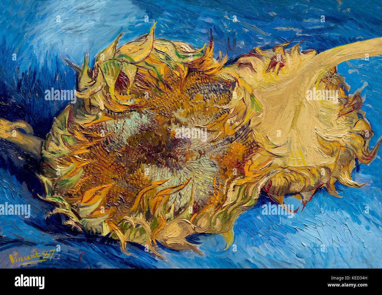 Sonnenblumen, Vincent van Gogh, 1887, Metropolitan Museum of Art, Manhattan, New York City, USA, Nordamerika Stockfoto