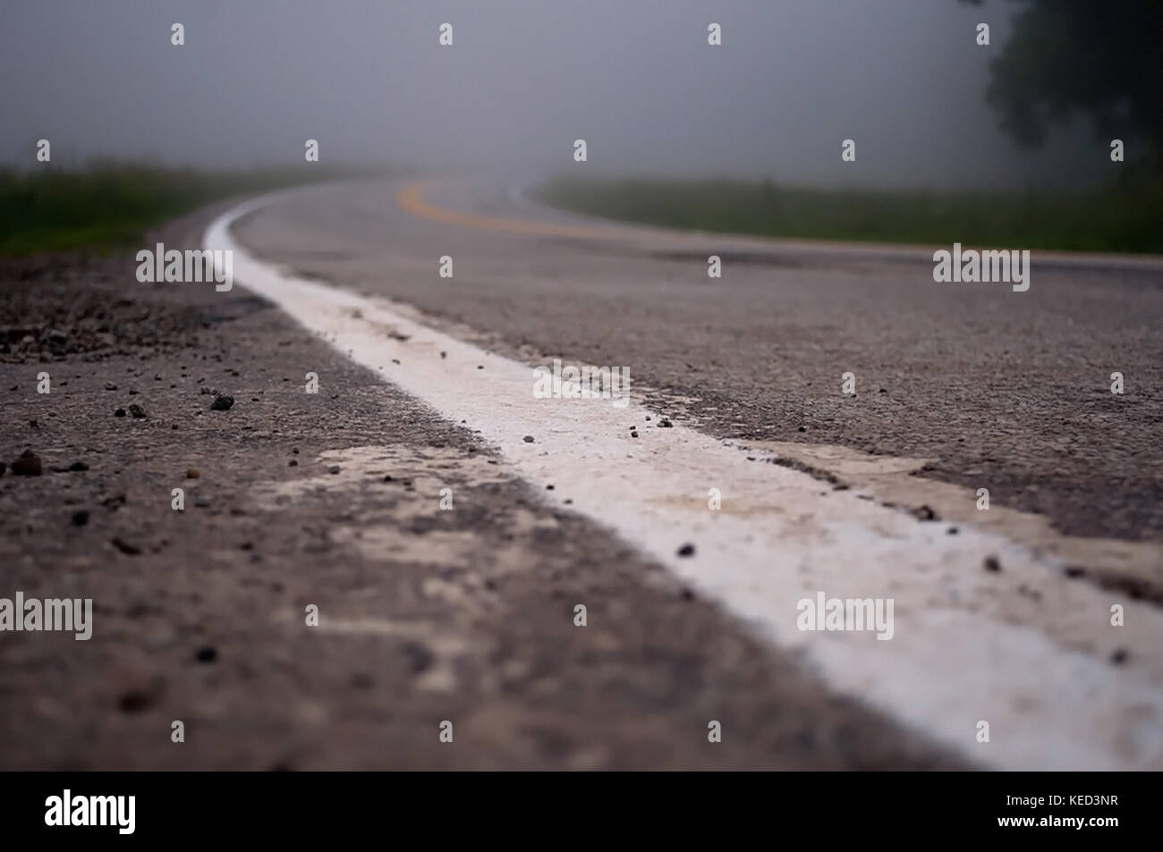 Eine neblige ländlichen Land Straße am Tag Pause Stockfoto