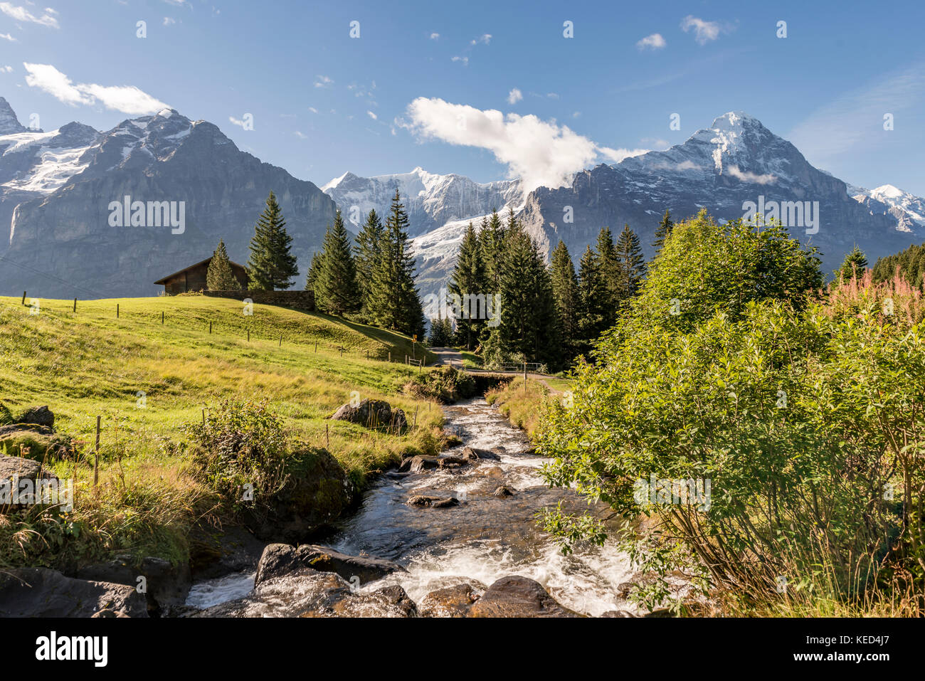 Wildbach,im Hintergrund schneebedeckte Nordwand des Eiger, Eiger, Mönch, Jungfrau, großes Fiescherhorn, Grindelwald, Bern Stockfoto