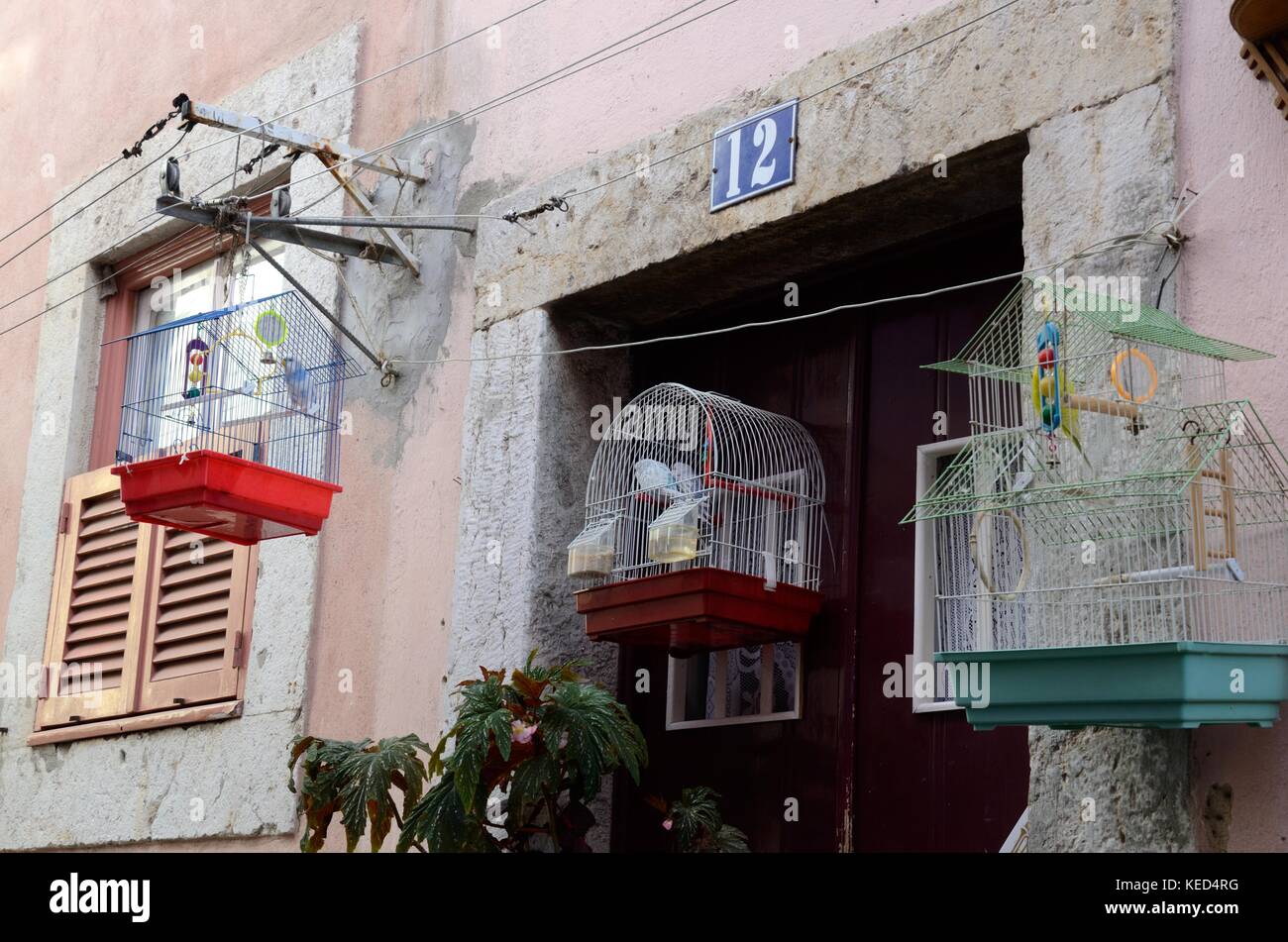 Vogelkäfige an der Wand aufhängen, außerhalb ein Ods-Haus Sintra Portugal  Stockfotografie - Alamy