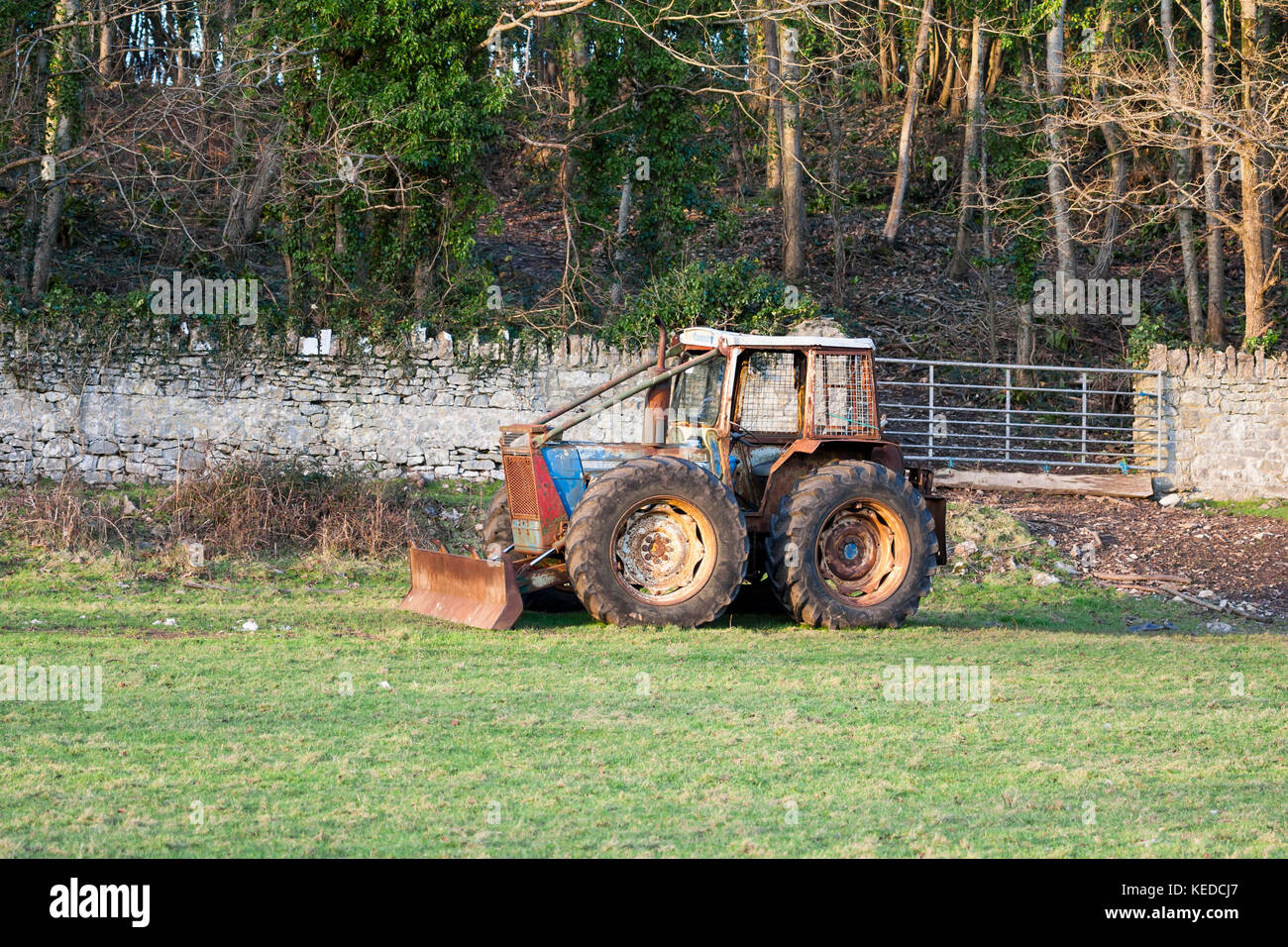 Vintage Ford County Traktor zum Ziehen von Holz verwendet Stockfoto