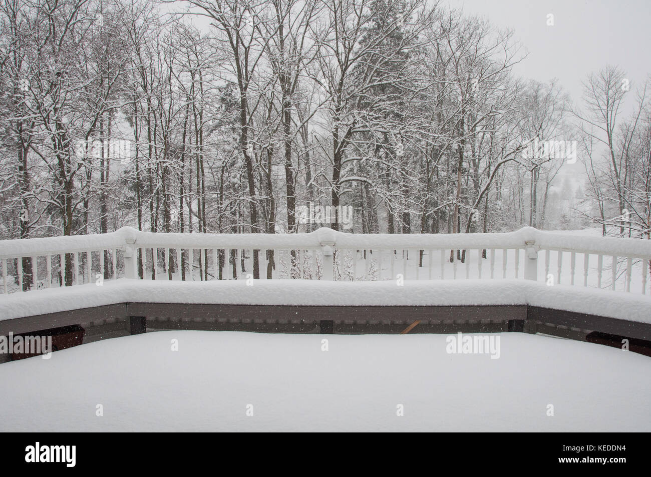 Aussicht von der Terrasse während eines Schneesturms Stockfoto