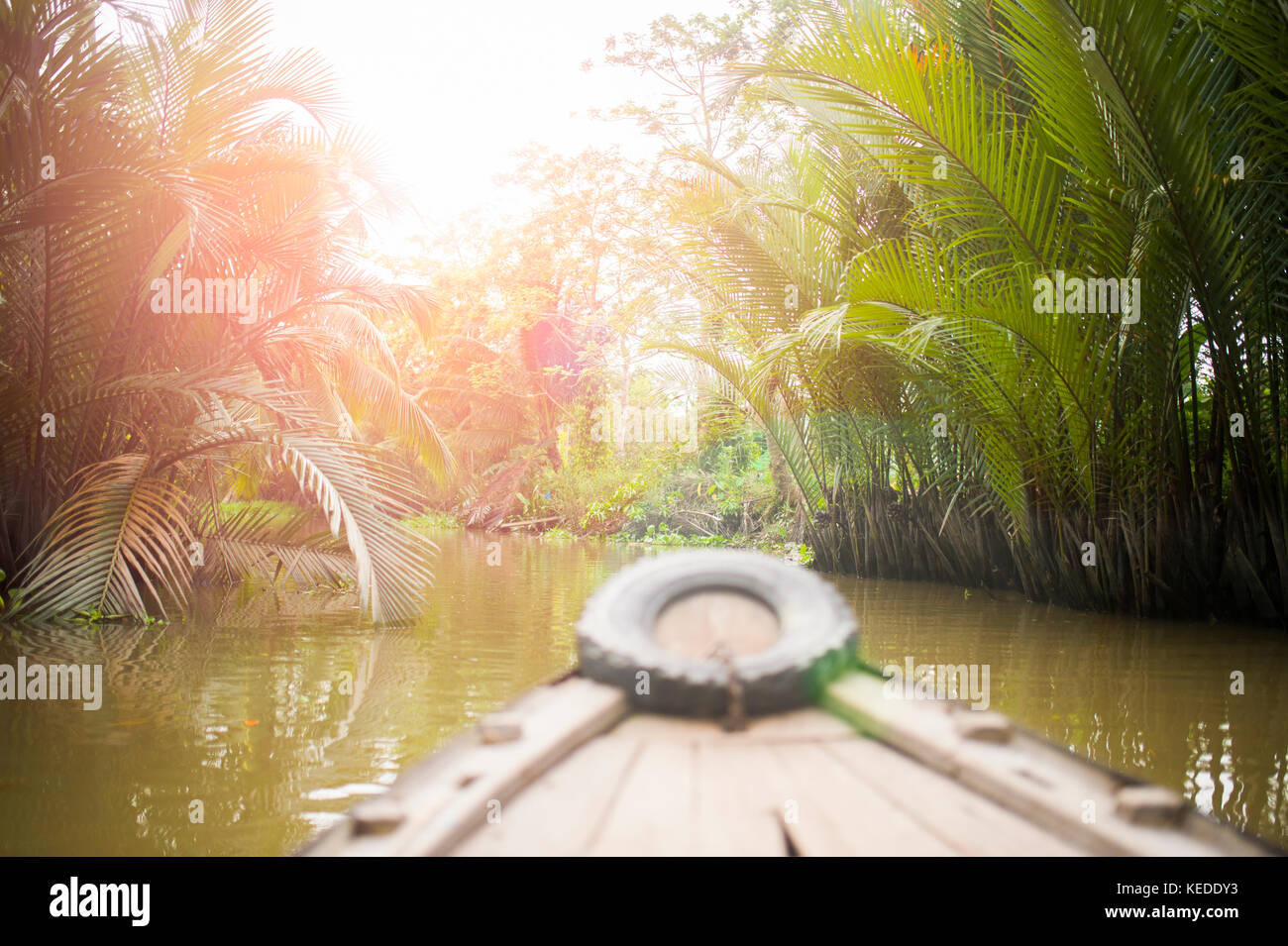 Tour durch die Kanäle der Mekong Delta in Vietnam mit einem traditionellen Boot. Das beliebte Ausflugsziel ist Can Tho Dorf im Mekong Delta, Vie Stockfoto