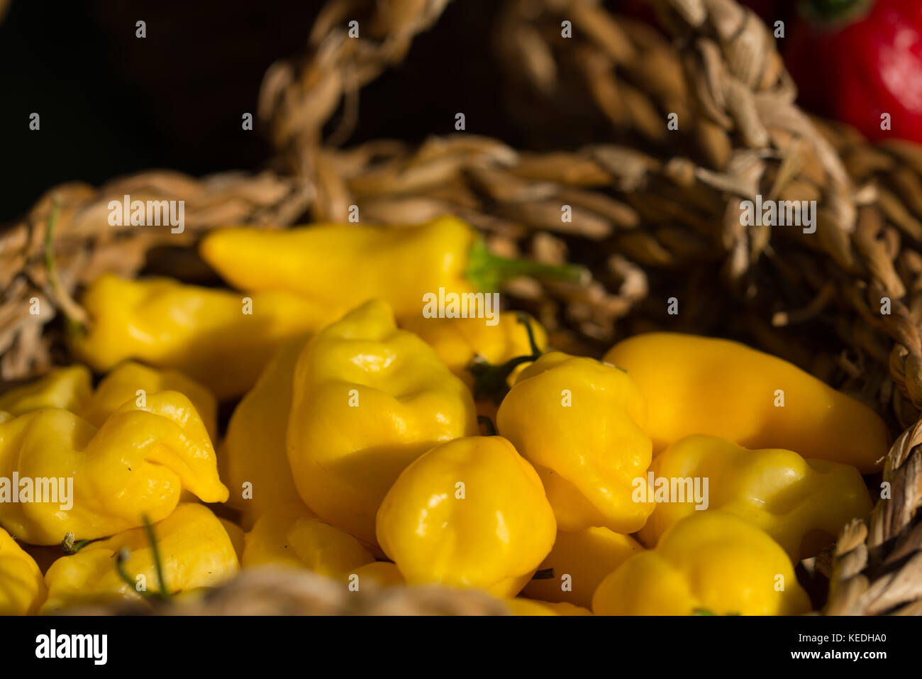 Hot Chilly Peppers auf dem Bauernmarkt Stockfoto