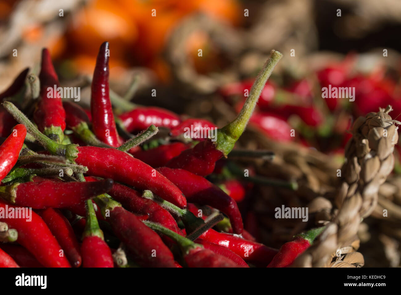 Hot Chilly Peppers auf dem Bauernmarkt Stockfoto