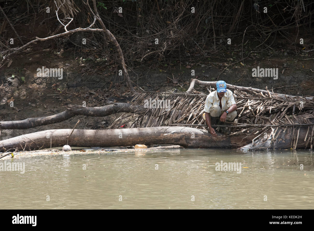 Trotz Krokodile, ein Mann ist die Fischerei auf dem Sarapiqui River, Costa Rica Stockfoto