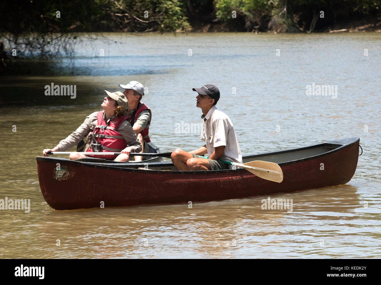 Tour Guide Ranger und Touristen auf ein Tretboot, Sarapiqui River, Costa Rica Stockfoto