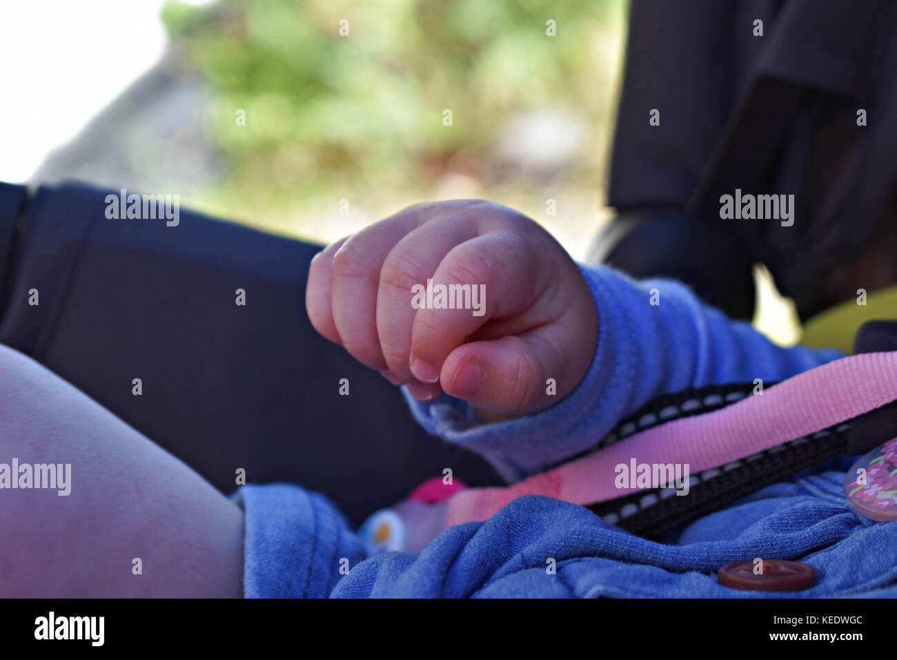 Die Hände eines Babys Faust, selektiver Fokus, ist das Kind im Kinderwagen Stockfoto