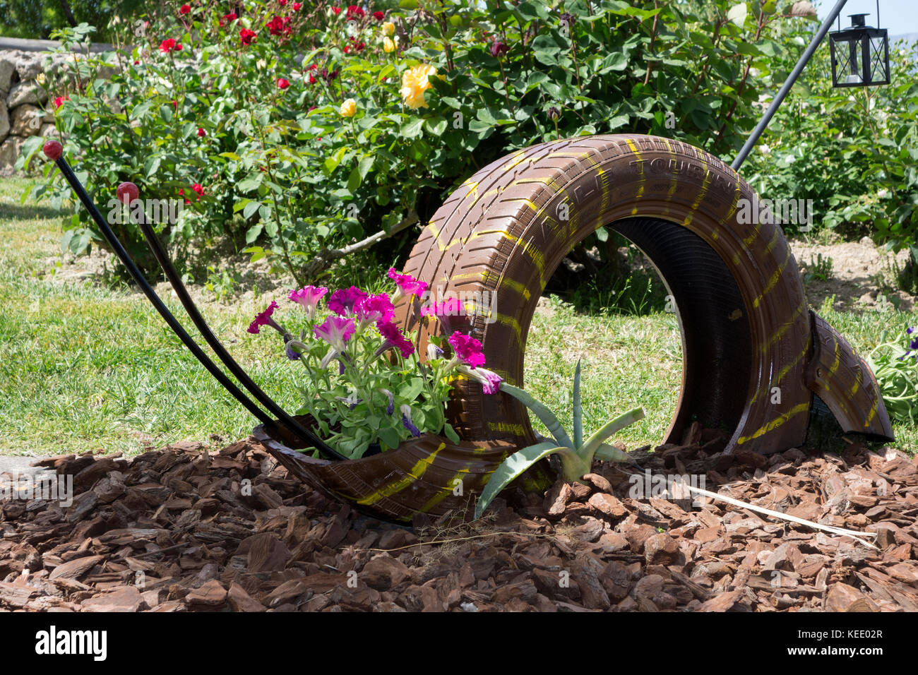 Recycelte Reifen als Blumentopf verwendet Stockfoto