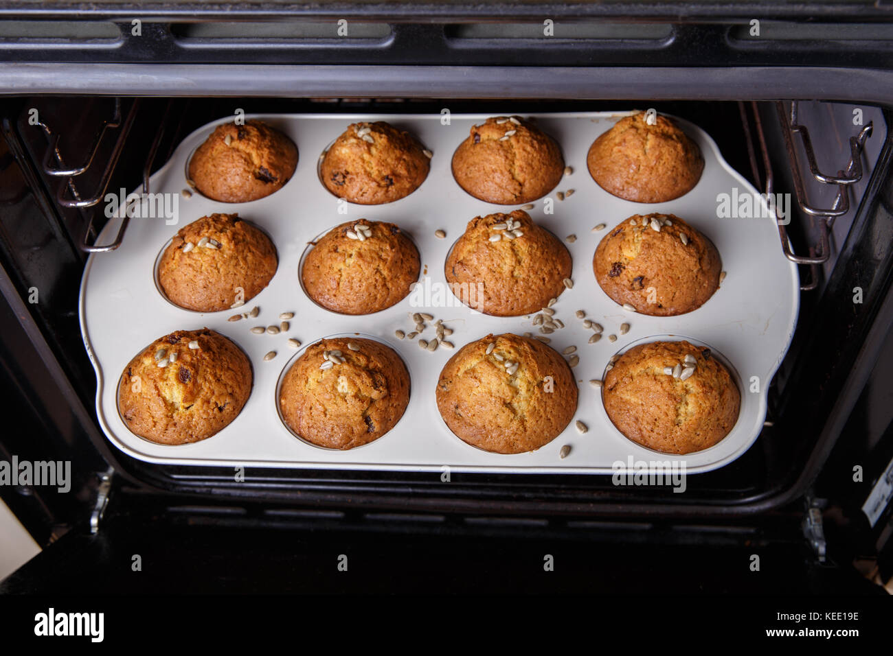 Karotte Cupcakes sind im heißen Ofen gebacken Stockfoto