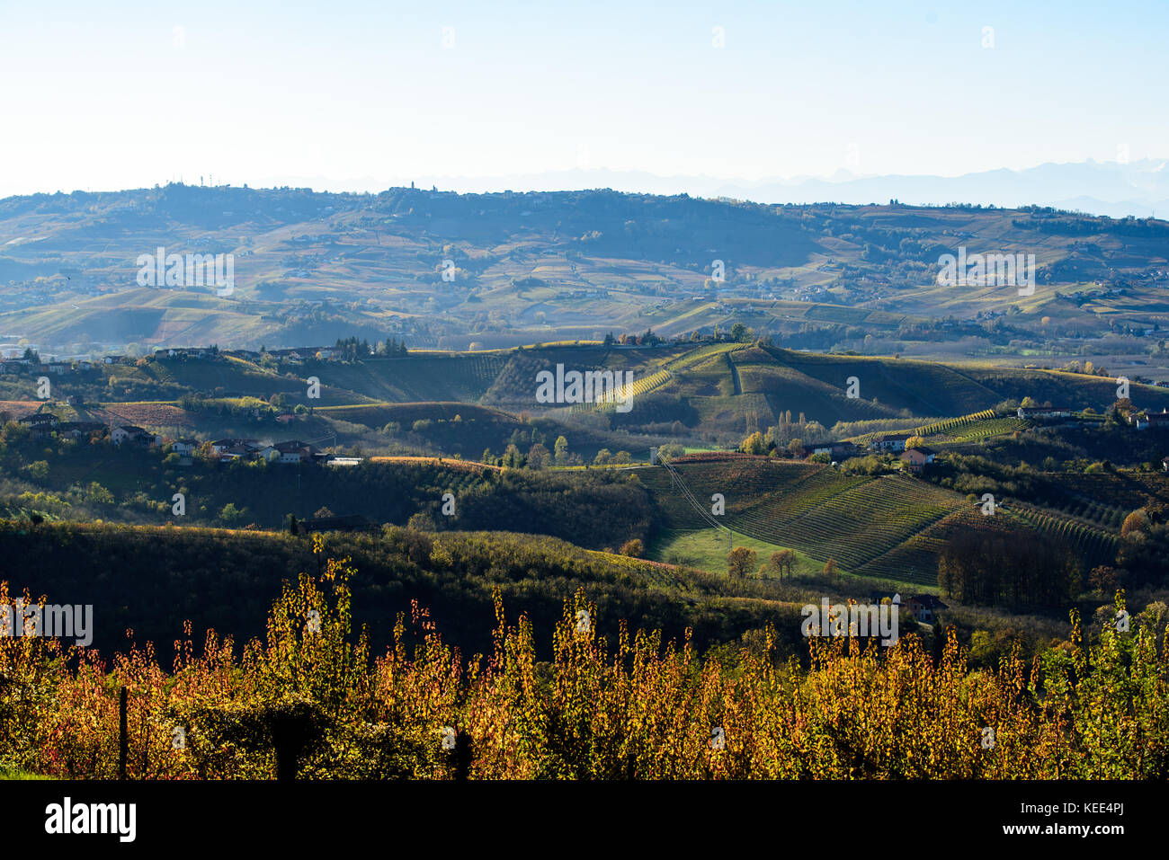 Herbst im nördlichen Italien Region Langhe mit bunten Weinberge Stockfoto