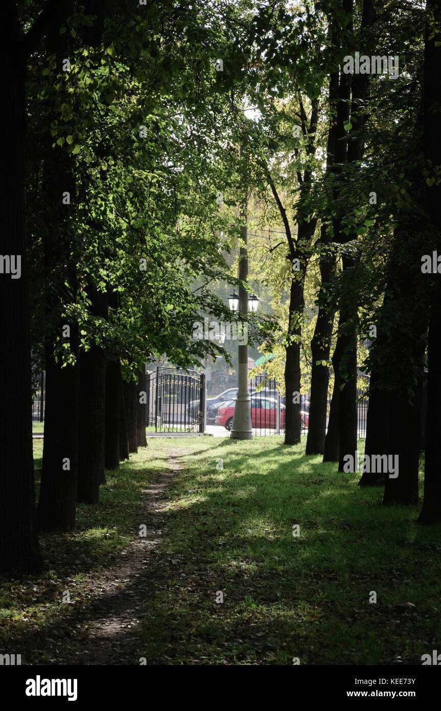 Herbst in der City Park Stockfoto