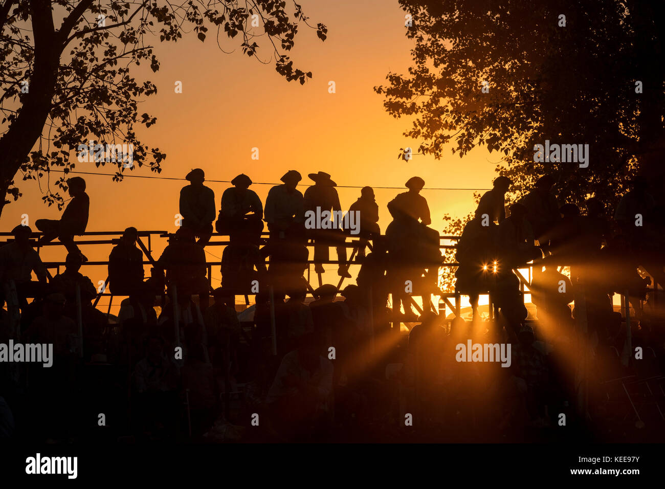 Festival im rodeo stil -Fotos und -Bildmaterial in hoher Auflösung – Alamy