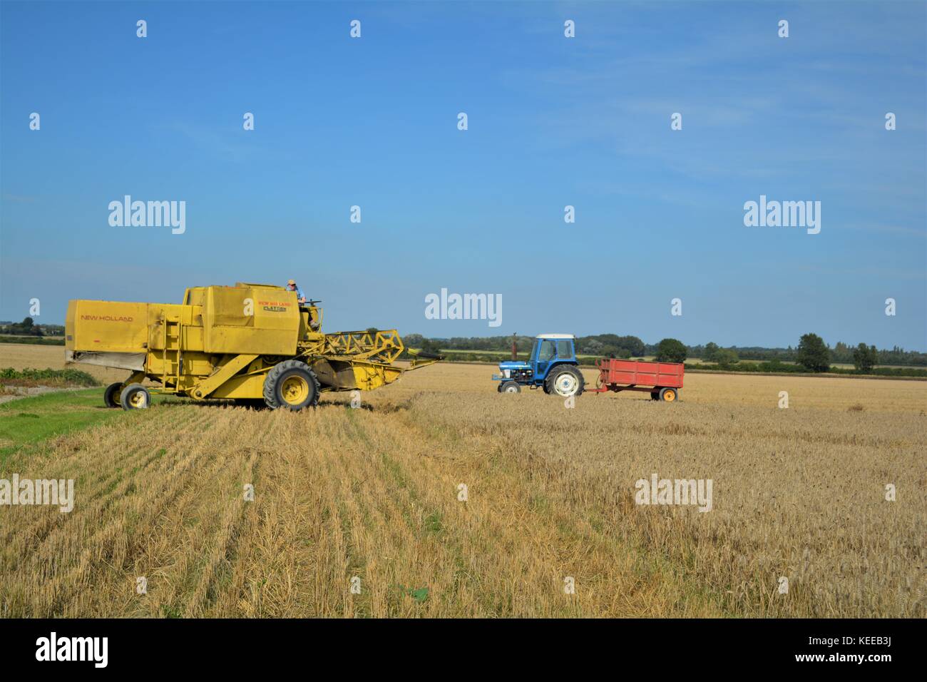 Alte offene Kabine gelb New Holland Mähdrescher Erntegut auf einem englischen Farm in 2017 Stockfoto