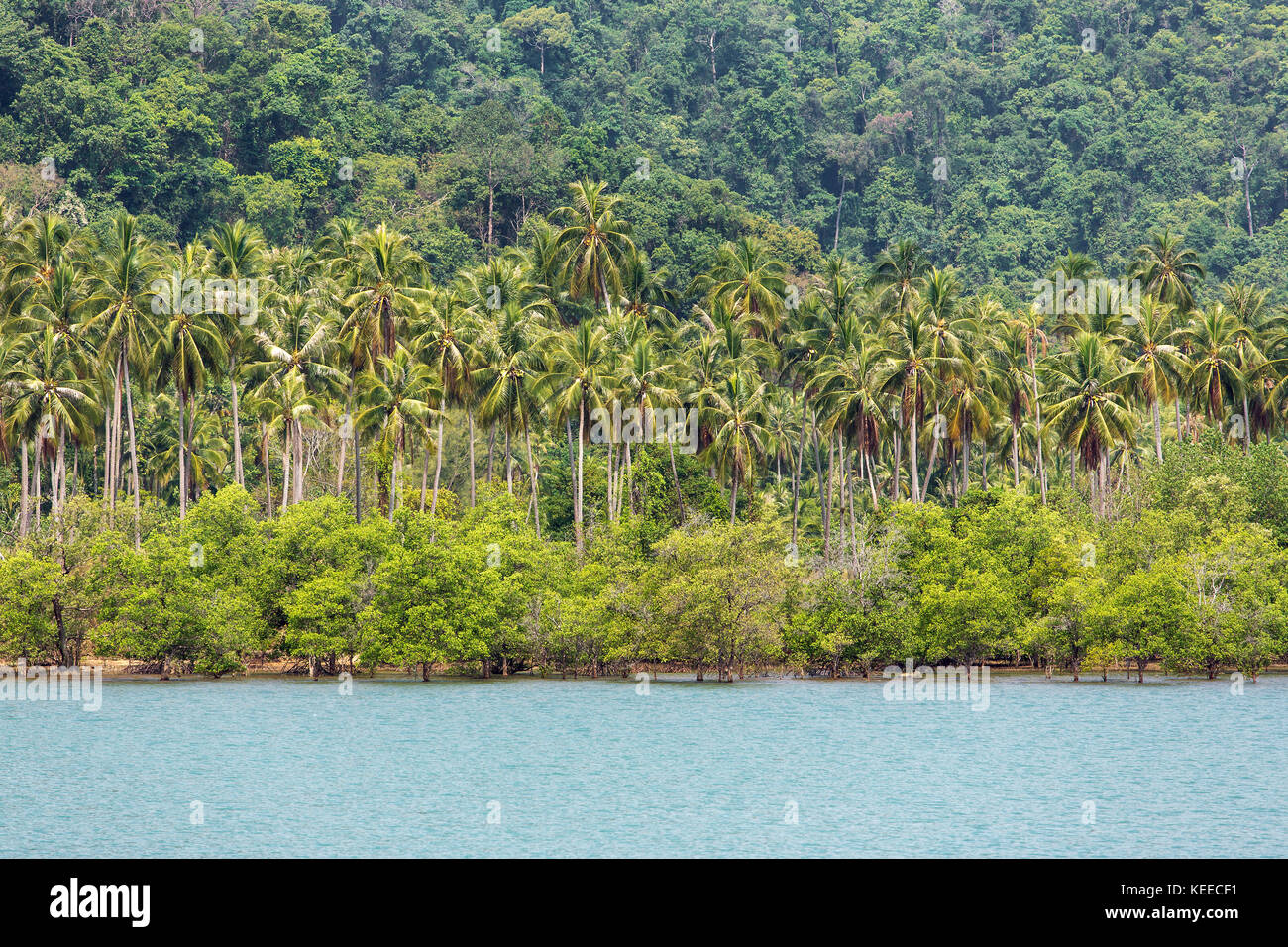Tropical Bay Landschaft mit Palmen in Thailand Stockfoto