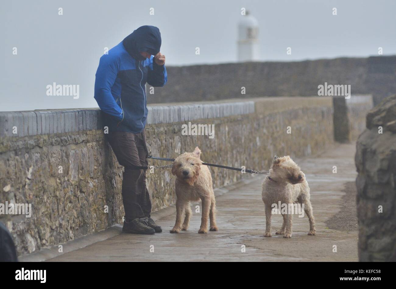 Porthcawl, Wales, Großbritannien. Oktober 2017. Wetter in Großbritannien. Der zweite Sturm der Saison, benannt nach Met Eireann / Met Office, Storm Brian verwischt Porthcawl und droht in Verbindung mit der hohen Sring Tide in West- und Südwales zu Überschwemmungen. Ein Mann mit seinen zwei Hunden kämpft gegen den Sturm an der Hafenmauer. Die Gemeinderäter waren mit Sandsäcken bereit und die Bewohner halten sich jetzt auf die abendliche Flut. Bildnachweis: IAN HOMER/Alamy Live News Stockfoto