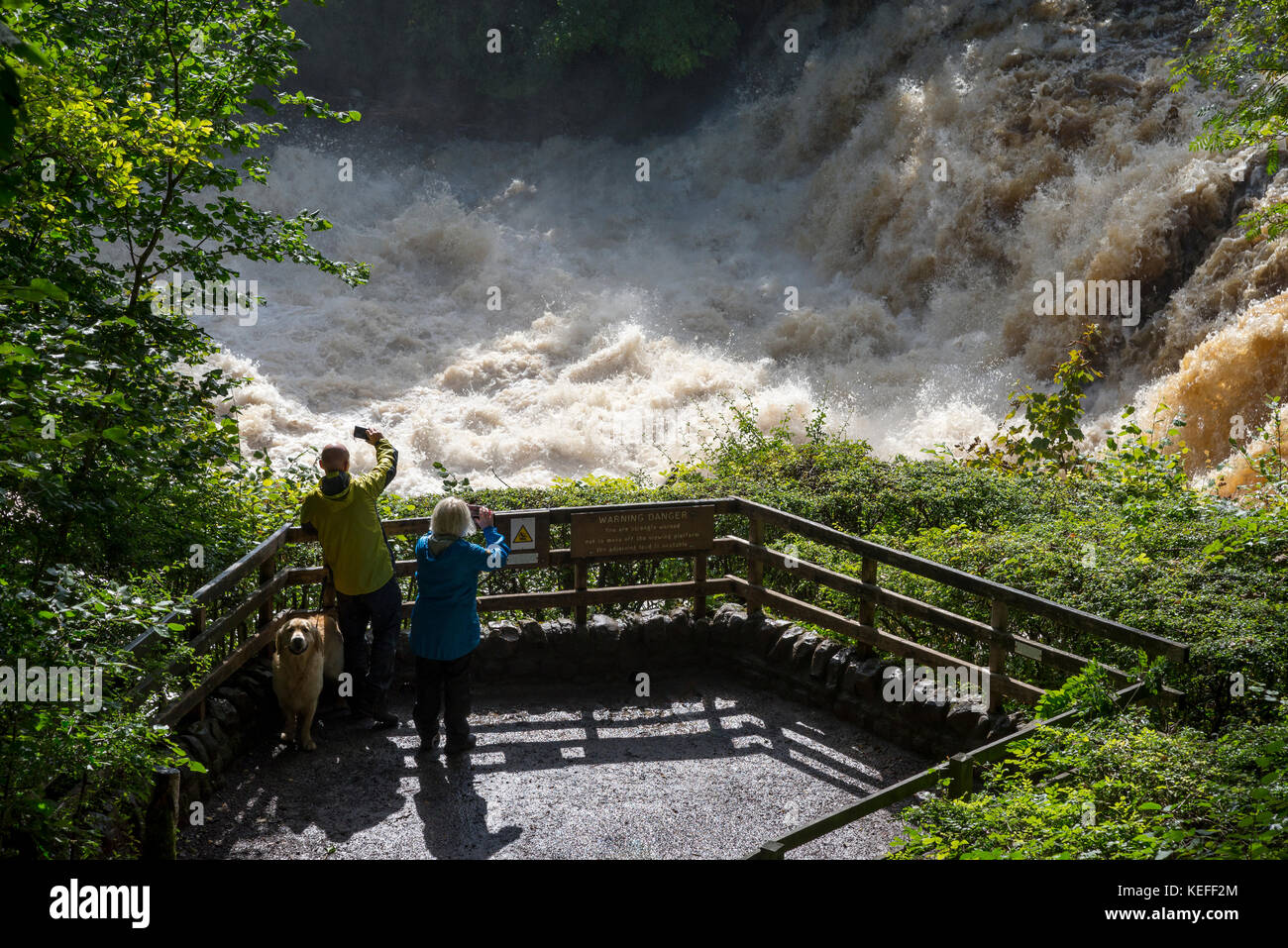 Ein Paar, das nach starken Regenfällen über Nacht den Wasserbach der Aysgarth Falls in North Yorkshire bewundern kann. Stockfoto