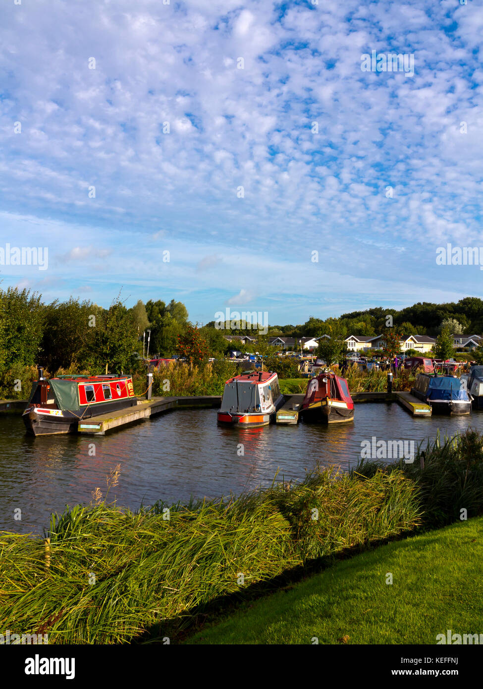 Boote an Mercia Marina eine große landeinwärts auf der Trent und Mersey Canal in der Nähe von Lee in South Derbyshire England Großbritannien marina Stockfoto