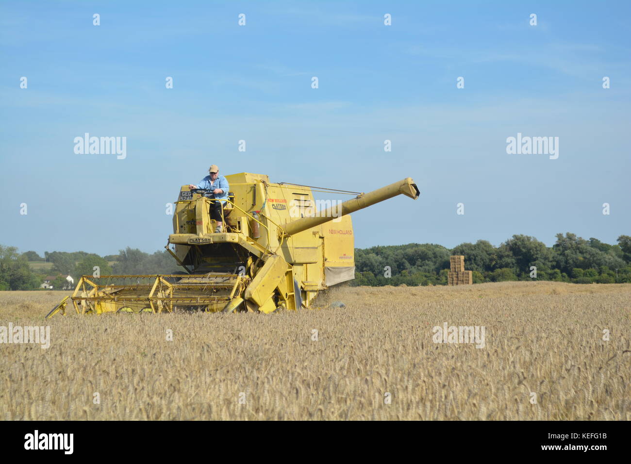 Vintage New Holland open cabyellow Mähdrescher in Aktion auf der Farm, Stockfoto