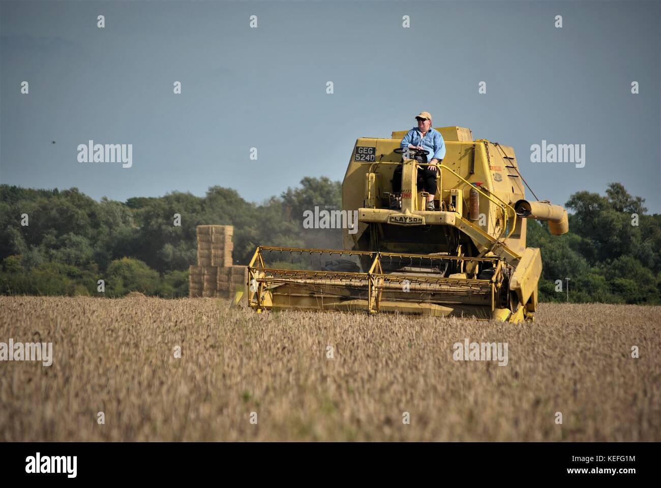 Alte offene Kabine gelb New Holland Mähdrescher Erntegut auf einem englischen Farm in 2017 Stockfoto