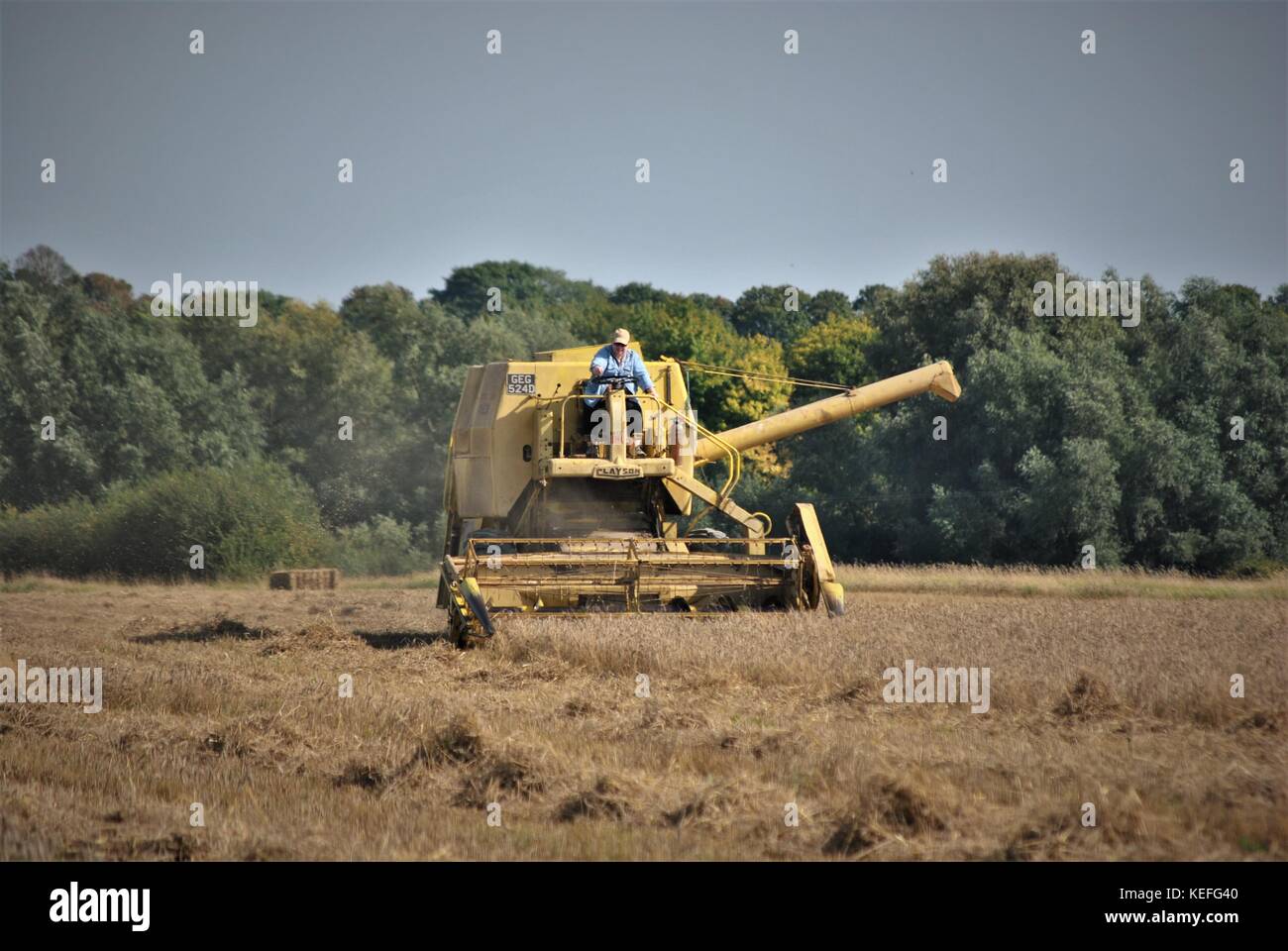 Alte offene Kabine gelb New Holland Mähdrescher Erntegut auf einem englischen Farm in 2017 Stockfoto