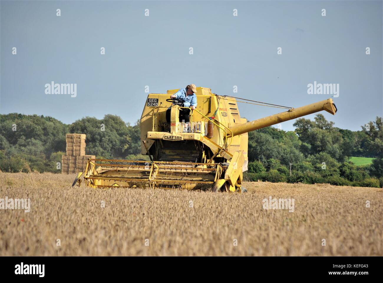 Alte offene Kabine gelb New Holland Mähdrescher Erntegut auf einem englischen Farm in 2017 Stockfoto