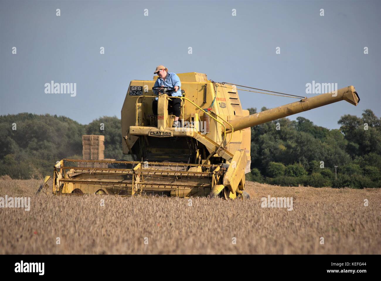 Alte offene Kabine gelb New Holland Mähdrescher Erntegut auf einem englischen Farm in 2017 Stockfoto