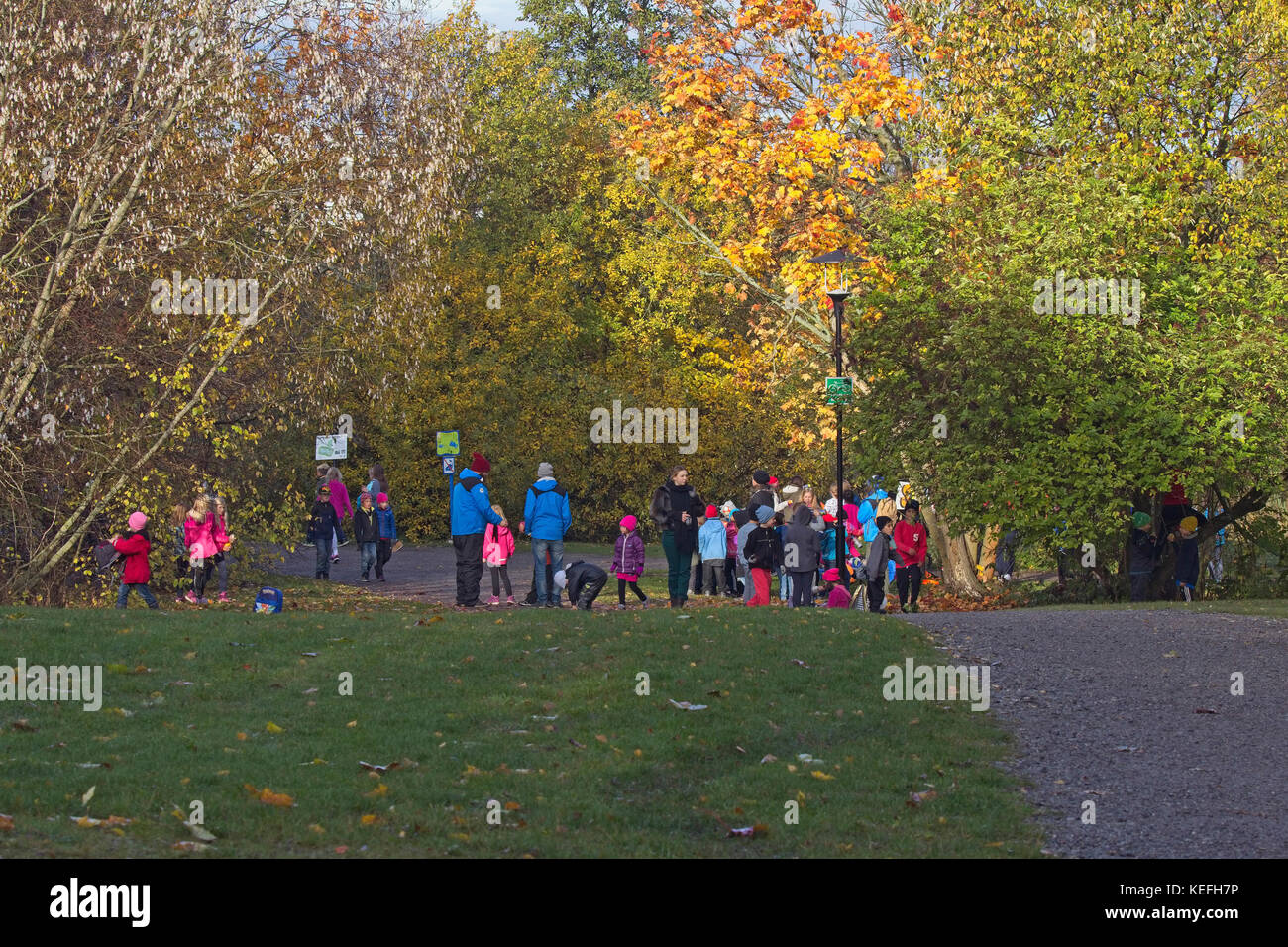 Grundschulkinder im Park lernen die Natur im Park. Solna, Schweden. Stockfoto