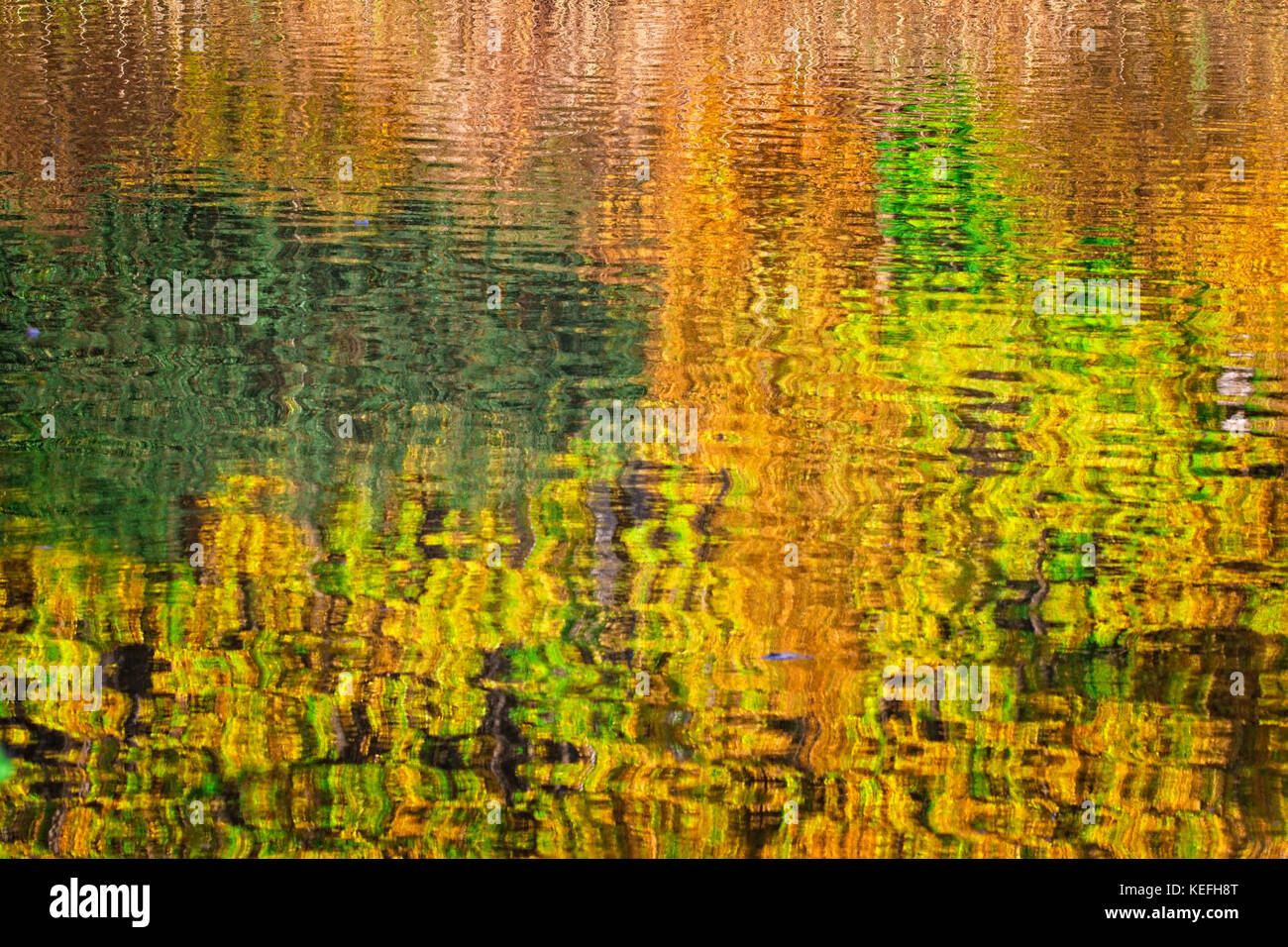 Herbstfarben spiegeln sich im See wider. Solna, Schweden. Stockfoto