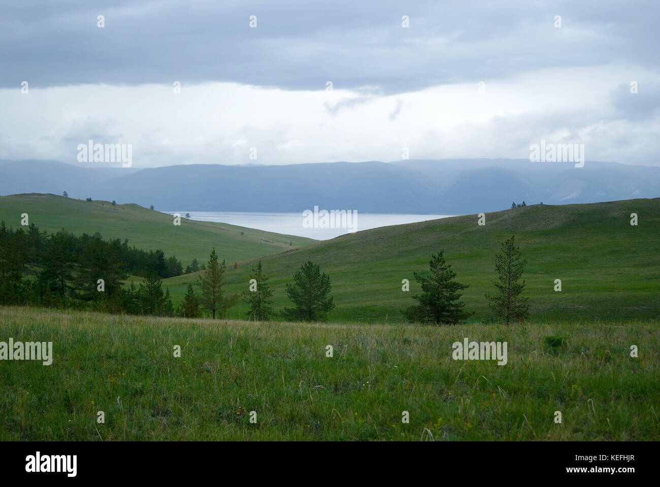 Landschaft der Insel Olchon (am Baikalsee, Russland) bei Regenwetter. Steppe mit seltenen Bäumen. Die Oberfläche der See und der Küste des Main Stockfoto