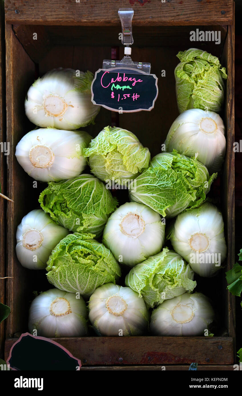 Napa cabbage zum Verkauf auf dem Bauernmarkt Stockfoto